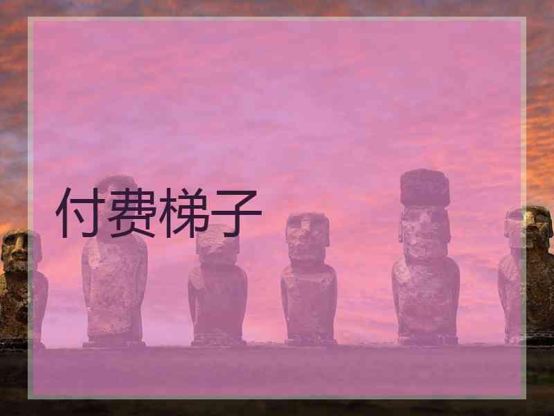 付费梯子