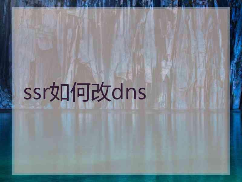 ssr如何改dns
