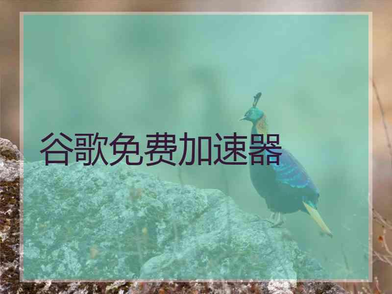 谷歌免费加速器