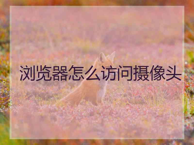 浏览器怎么访问摄像头