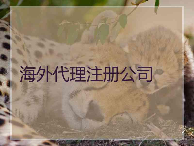 海外代理注册公司