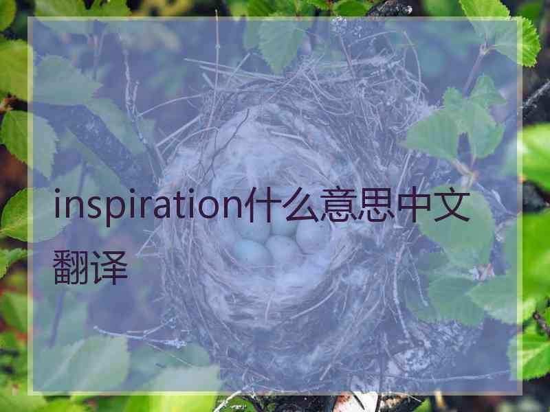 inspiration什么意思中文翻译