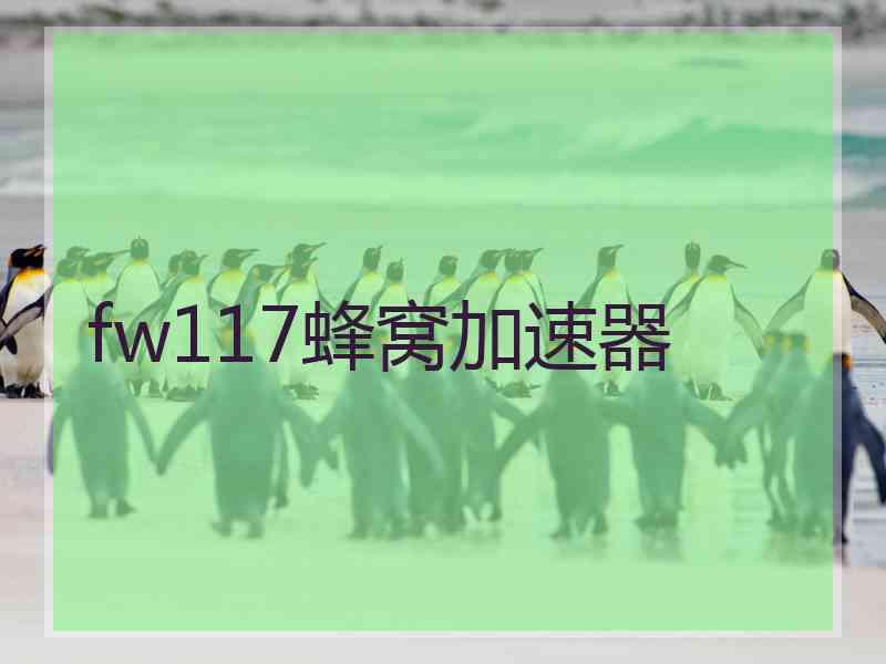 fw117蜂窝加速器