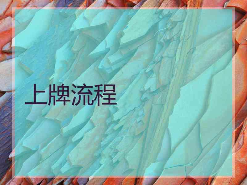 上牌流程