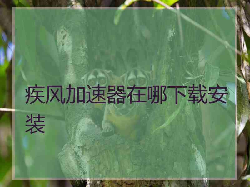 疾风加速器在哪下载安装