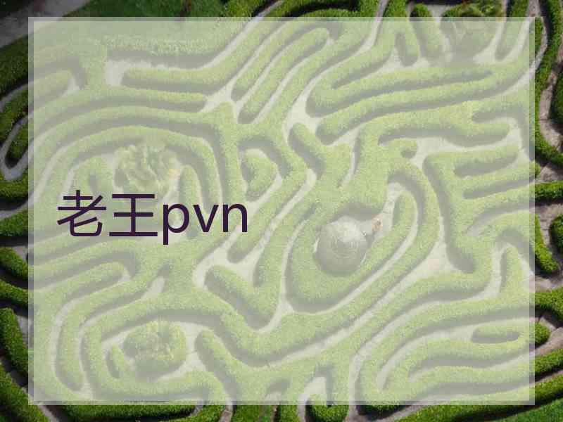 老王pvn
