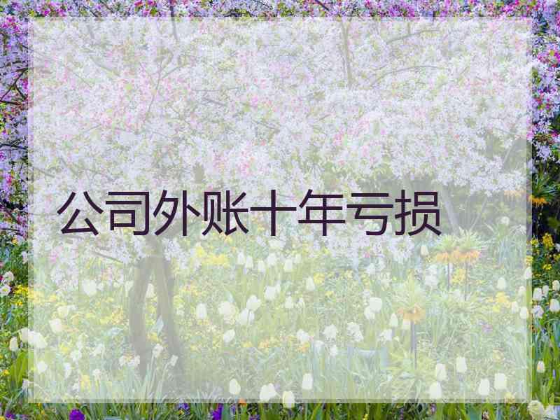 公司外账十年亏损