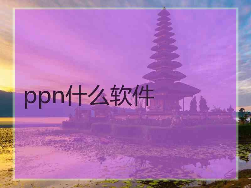 ppn什么软件