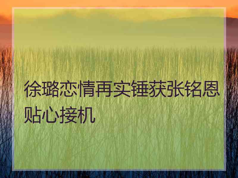 徐璐恋情再实锤获张铭恩贴心接机