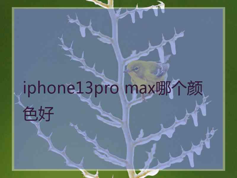 iphone13pro max哪个颜色好