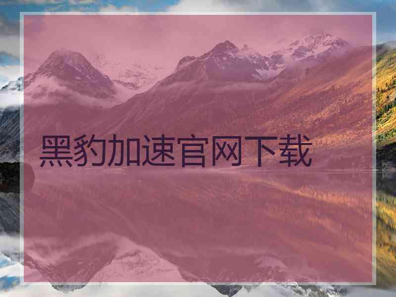 黑豹加速官网下载