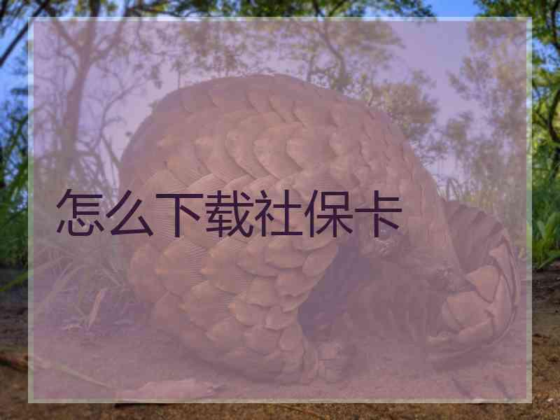 怎么下载社保卡