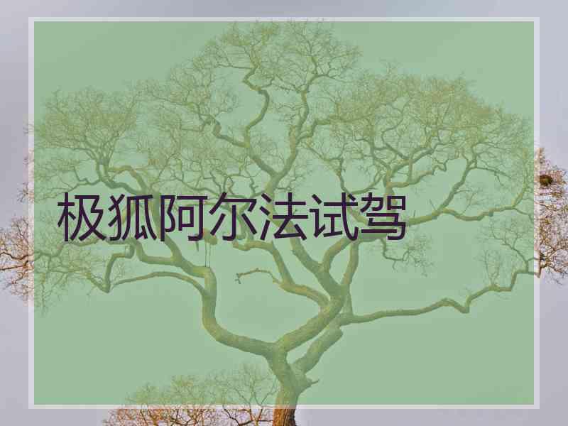 极狐阿尔法试驾