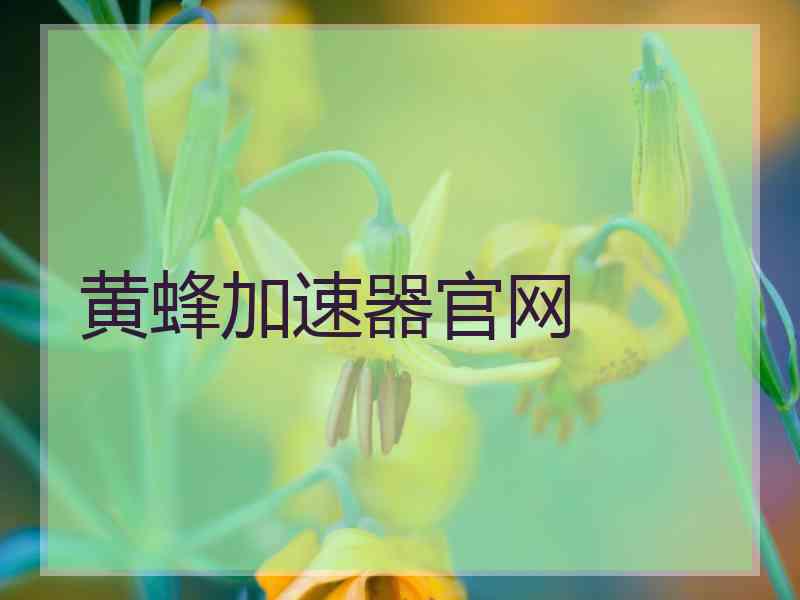 黄蜂加速器官网
