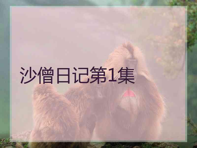沙僧日记第1集