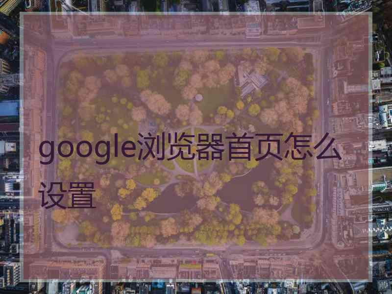 google浏览器首页怎么设置