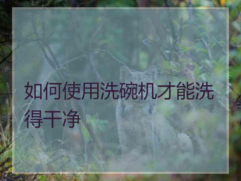 如何使用洗碗机才能洗得干净