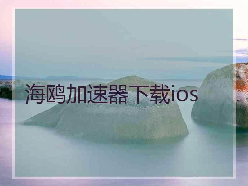 海鸥加速器下载ios