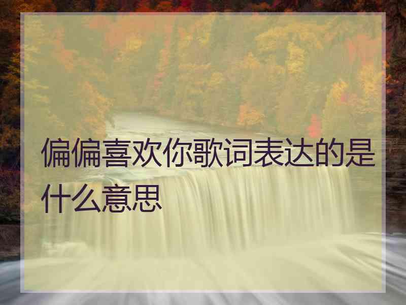 偏偏喜欢你歌词表达的是什么意思