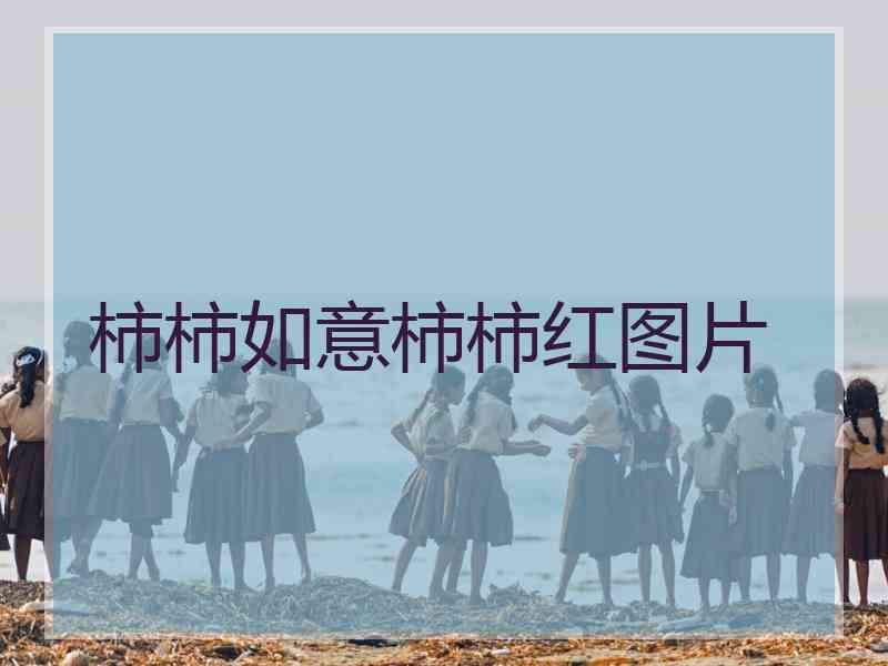 柿柿如意柿柿红图片