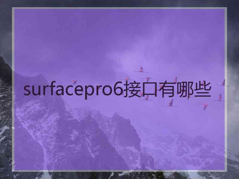 surfacepro6接口有哪些