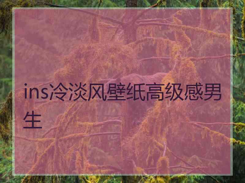 ins冷淡风壁纸高级感男生