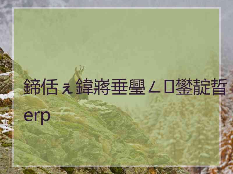 鍗佸ぇ鍏嶈垂璺ㄥ鐢靛晢erp
