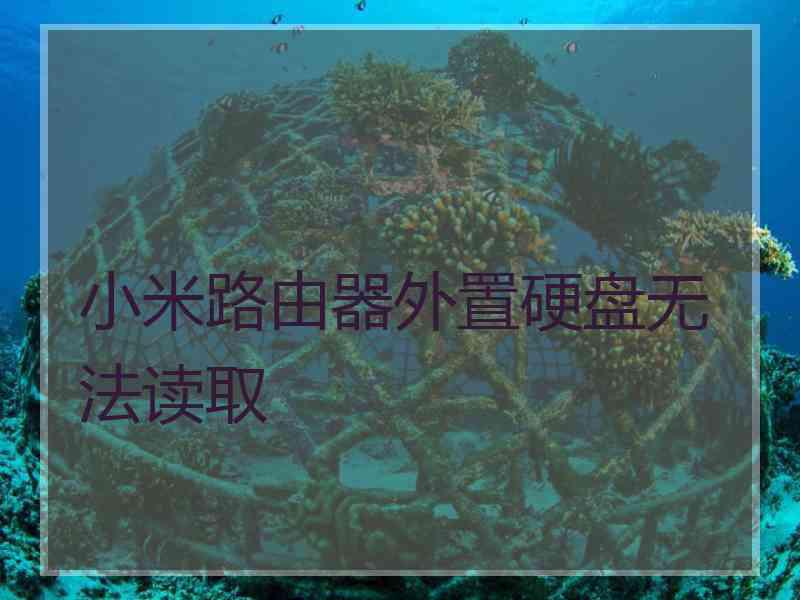 小米路由器外置硬盘无法读取