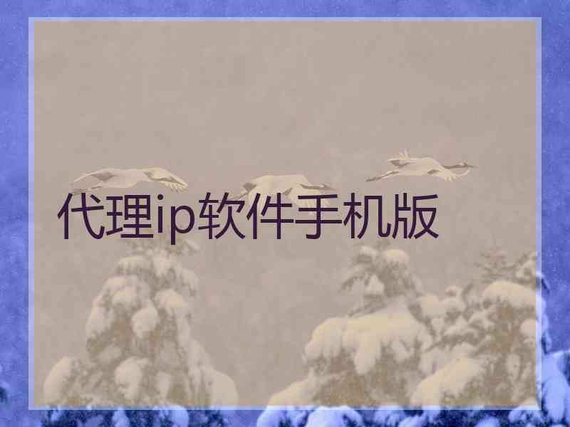 代理ip软件手机版