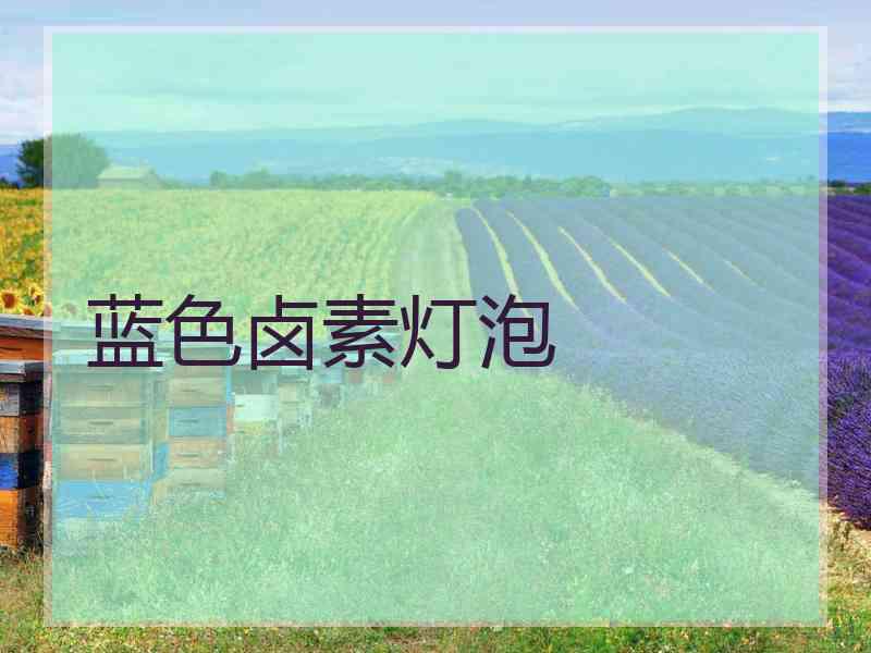 蓝色卤素灯泡
