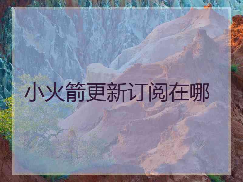 小火箭更新订阅在哪