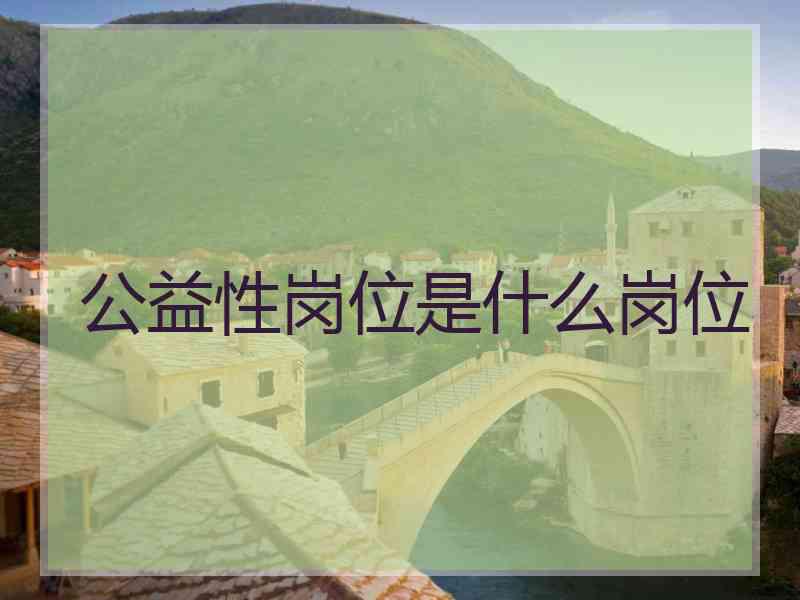 公益性岗位是什么岗位