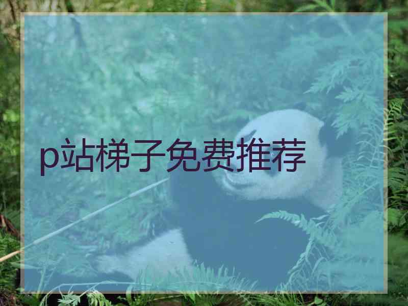 p站梯子免费推荐