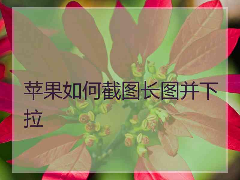 苹果如何截图长图并下拉