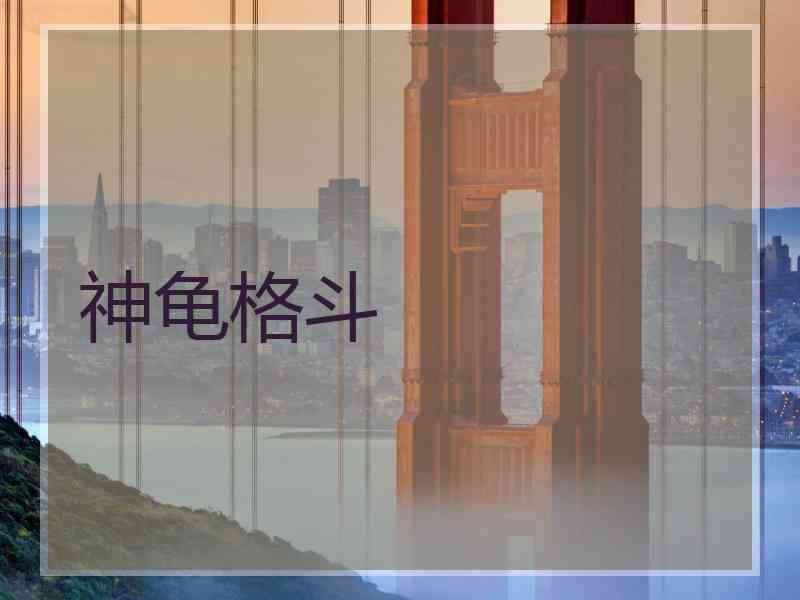 神龟格斗