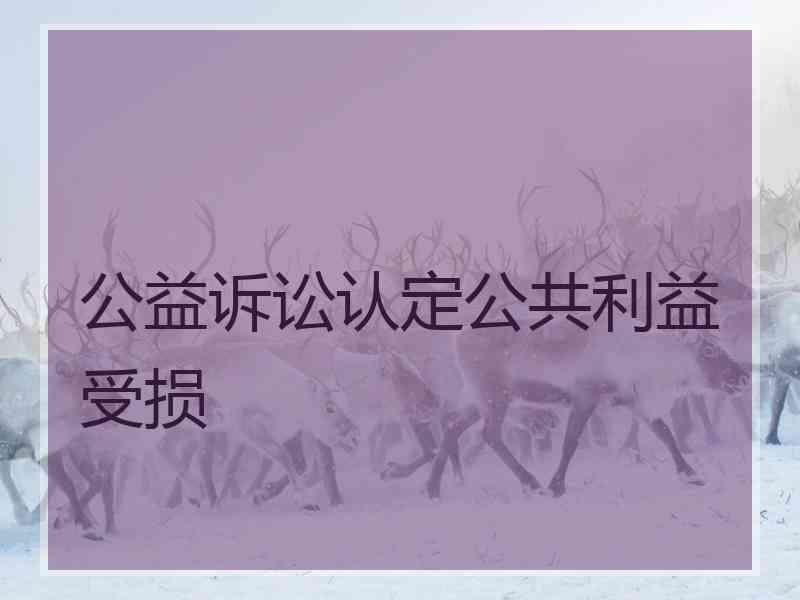 公益诉讼认定公共利益受损
