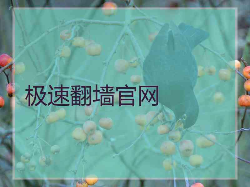 极速翻墙官网