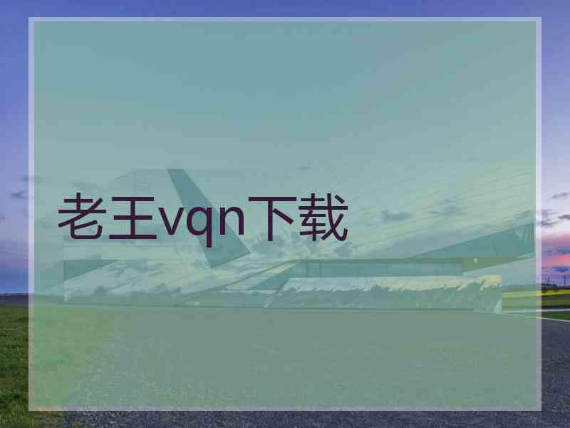 老王vqn下载