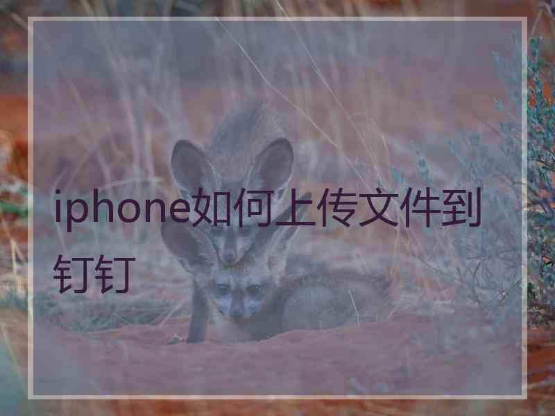iphone如何上传文件到钉钉