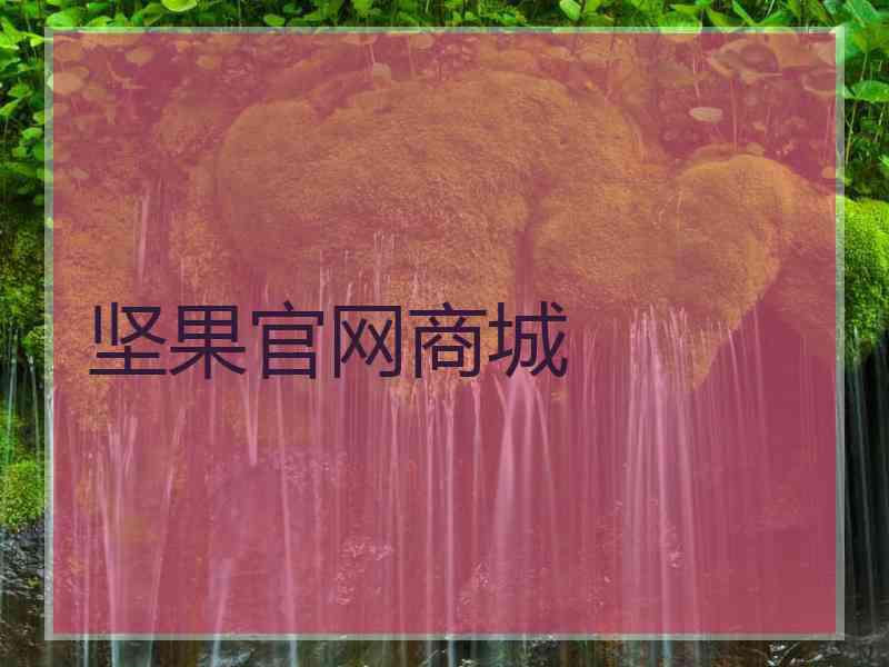 坚果官网商城