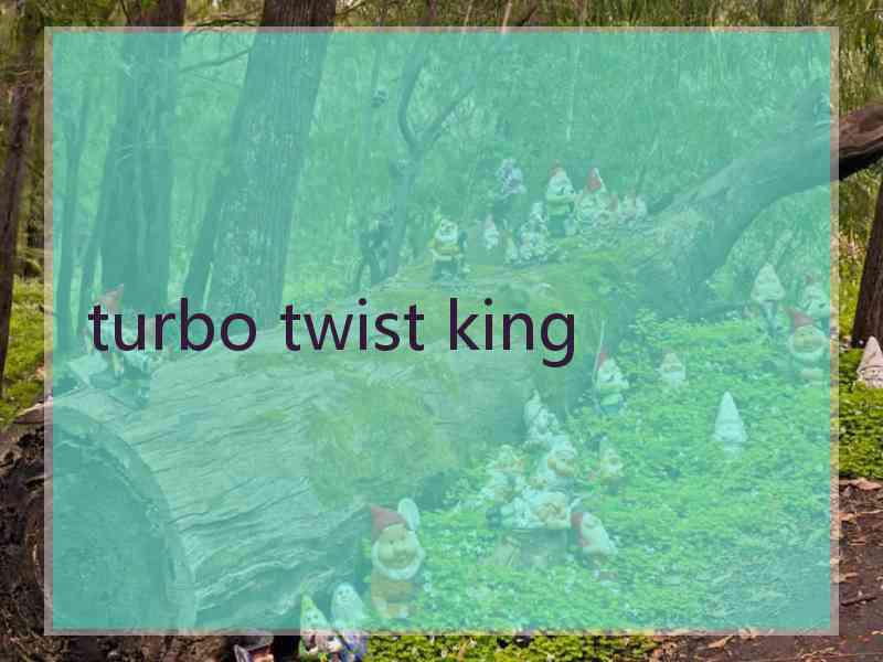 turbo twist king