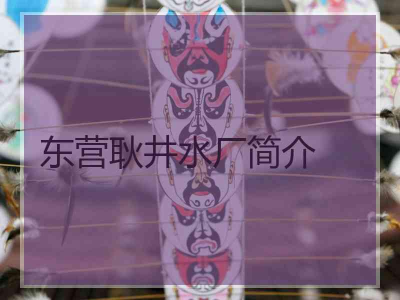 东营耿井水厂简介