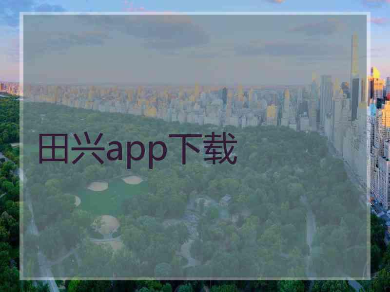 田兴app下载