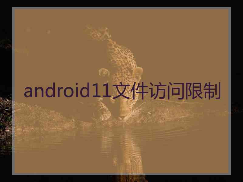android11文件访问限制