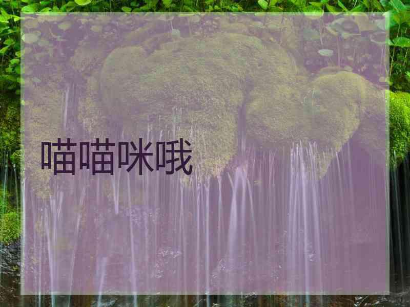 喵喵咪哦