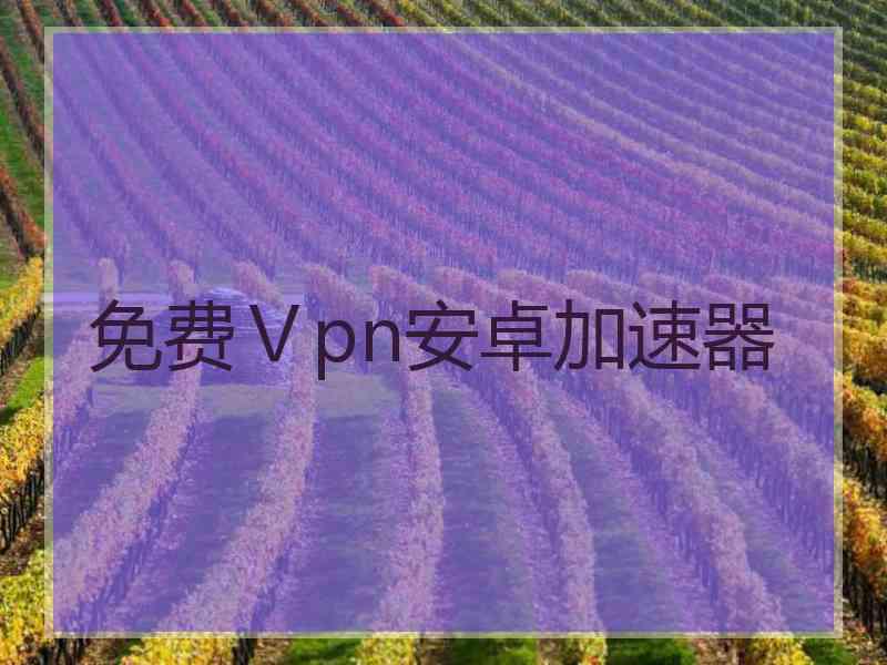 免费Ⅴpn安卓加速器
