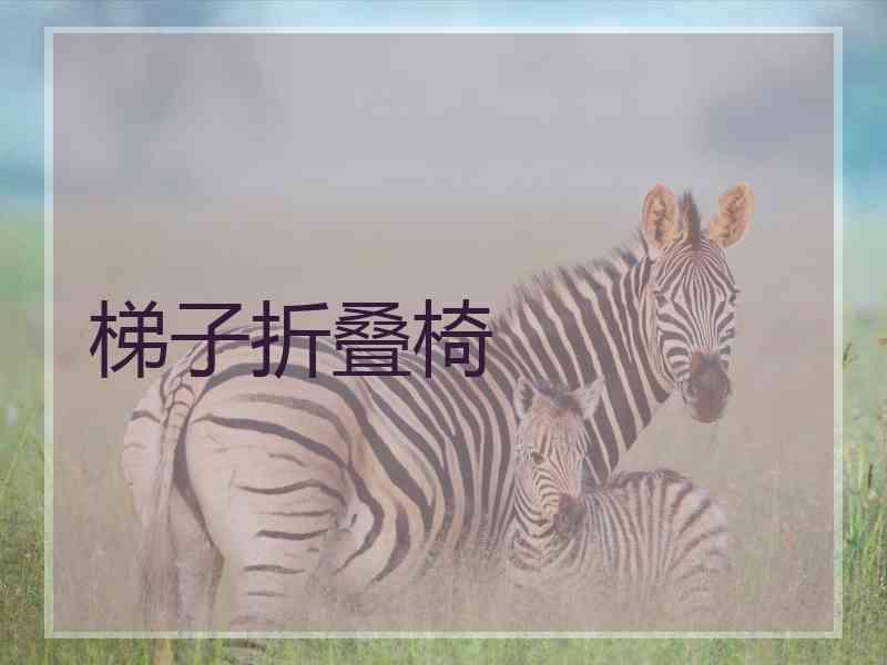 梯子折叠椅