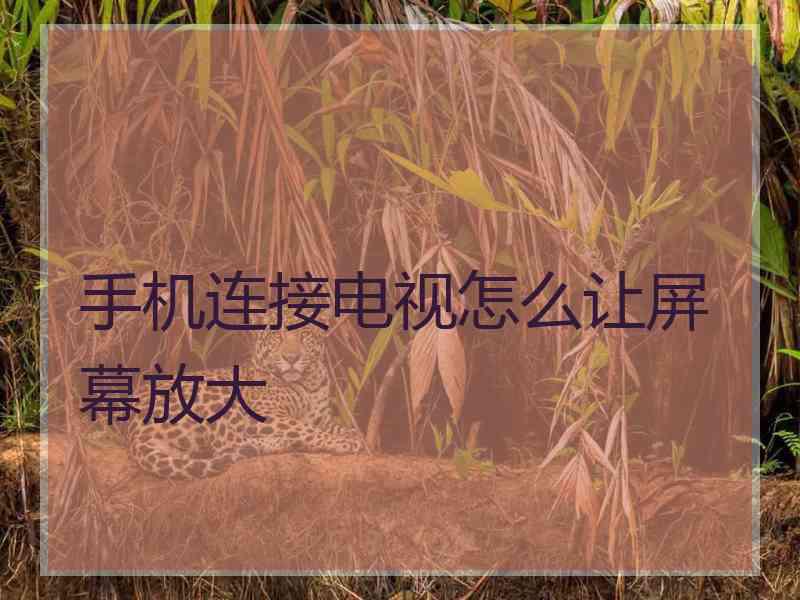 手机连接电视怎么让屏幕放大