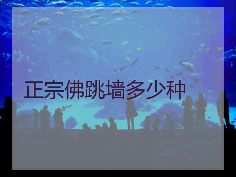 正宗佛跳墙多少种