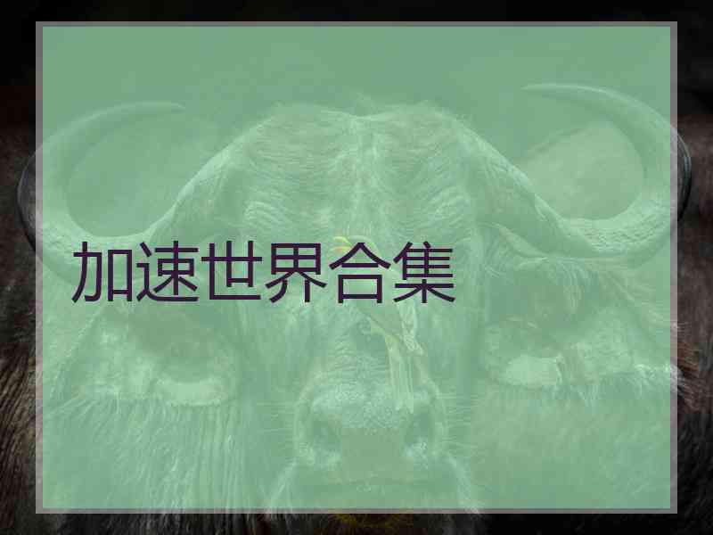加速世界合集